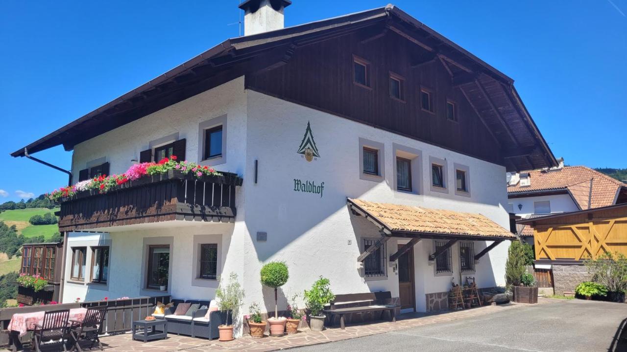 麦尔迪娜Waldhof公寓 外观 照片